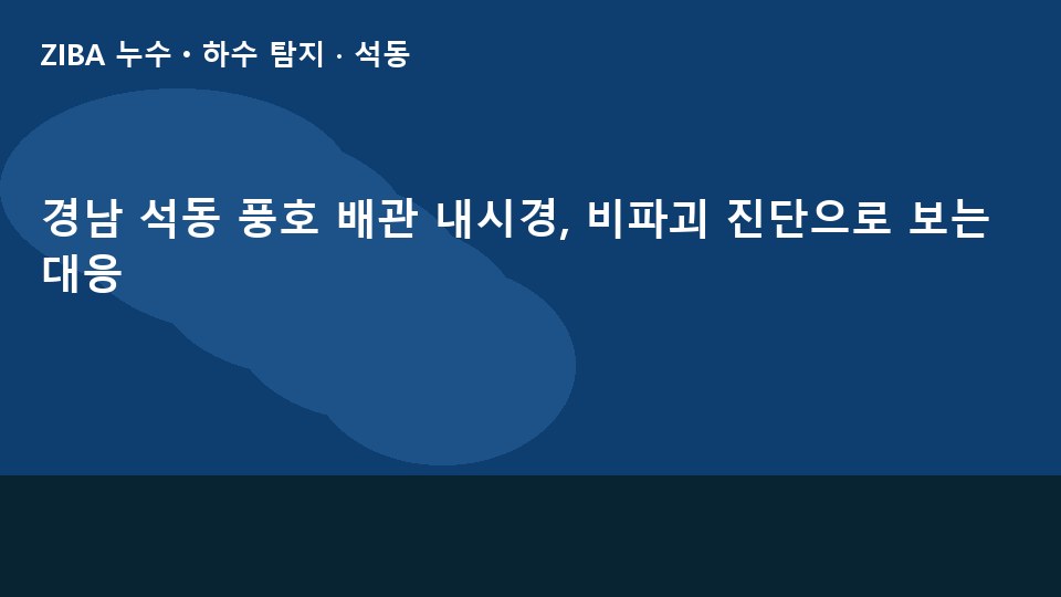 경남 석동 풍호 배관 내시경, 비파괴 진단으로 보는 대응